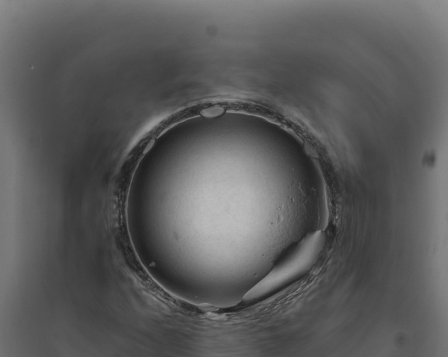 X0000094781208200711241331