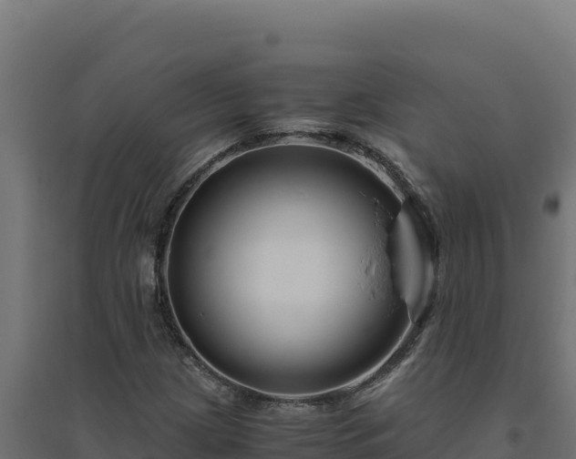 X0000094781209200711241331