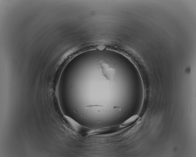 X0000094781210200711241331