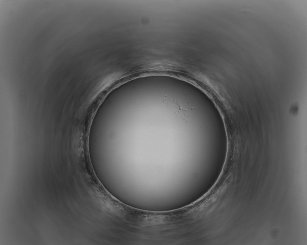 X0000094781211200711241331