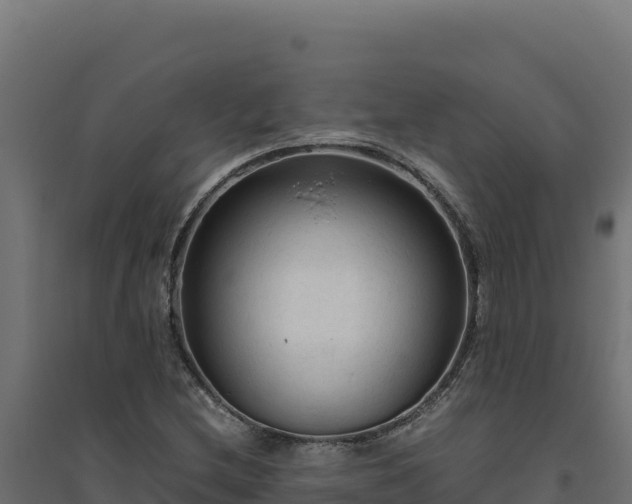 X0000094781212200711241331