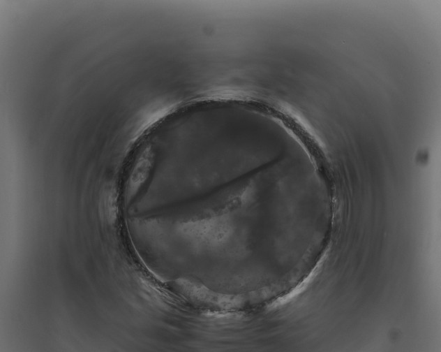 X0000094781213200711241331