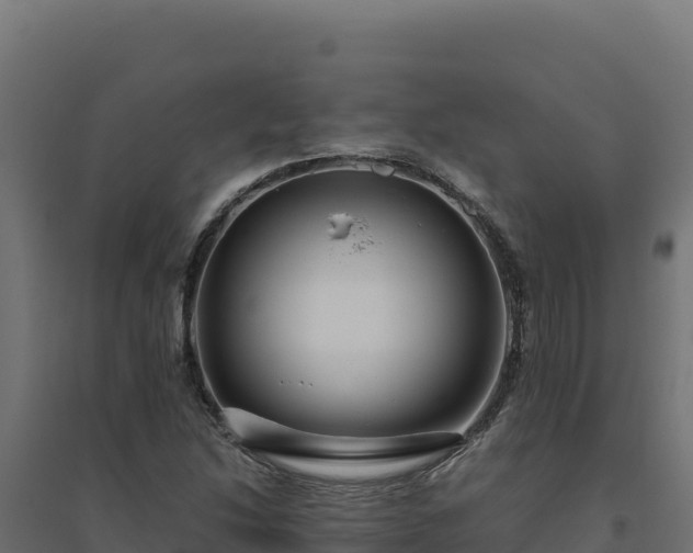 X0000094781214200711241331