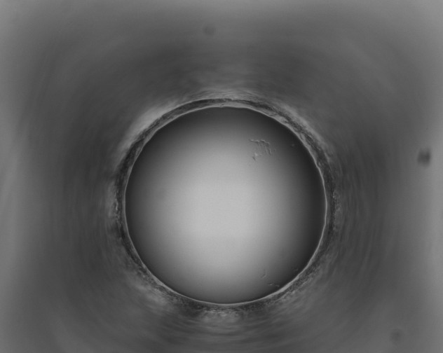 X0000094781215200711241331