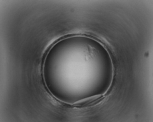 X0000094781216200711241332