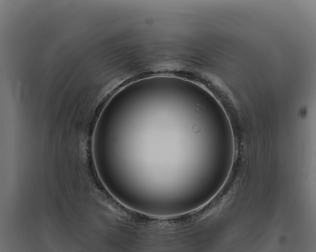 X0000094781217200711241332