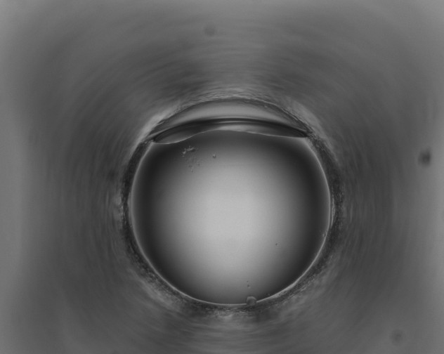 X0000094781218200711241332