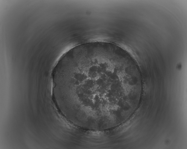X0000094781219200711241332
