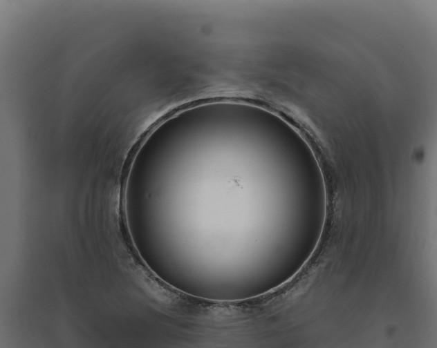 X0000094781220200711241332