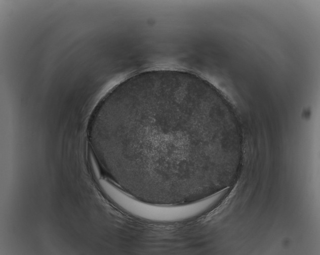 X0000094781221200711241332