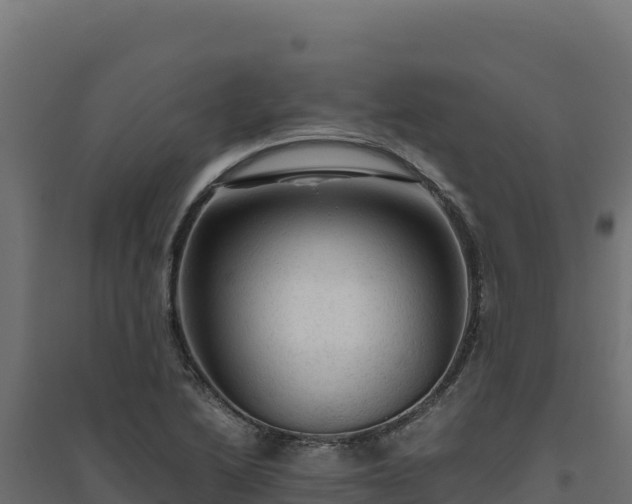 X0000094781222200711241332