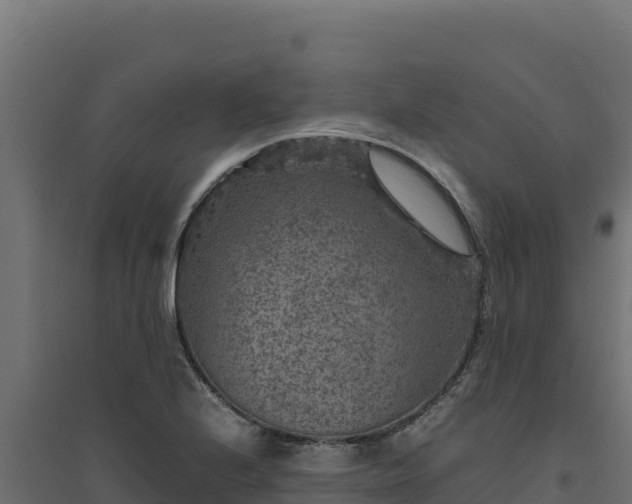 X0000094781224200711241332