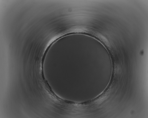 X0000094781226200711241332