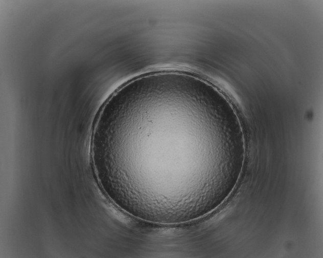 X0000094781228200711241332