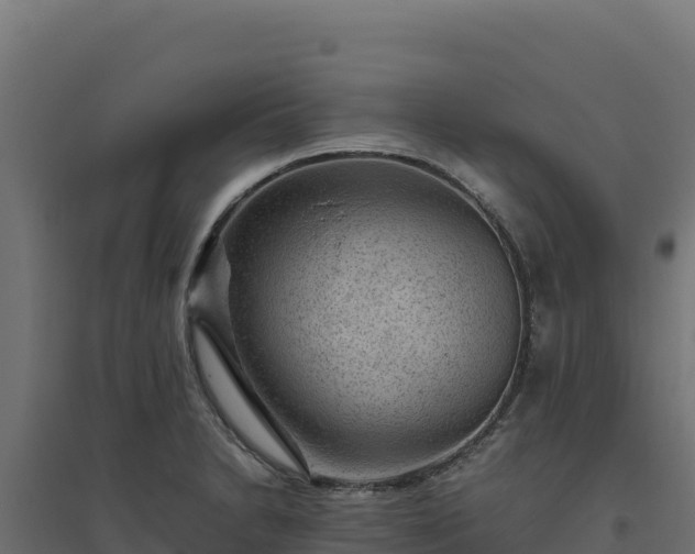 X0000094781230200711241332