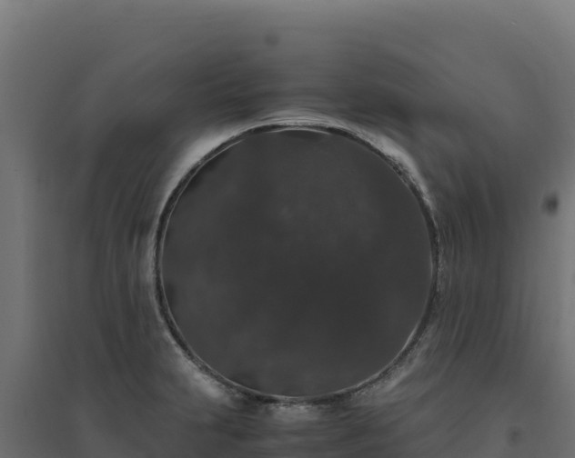 X0000094781231200711241332