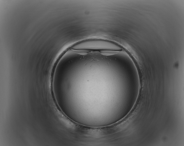 X0000094781232200711241332