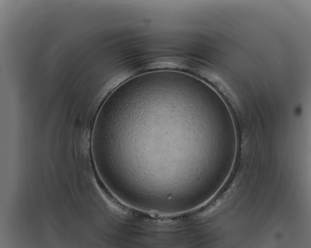 X0000094781233200711241332