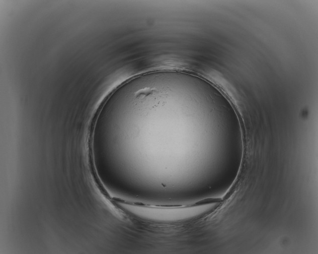 X0000094781235200711241332