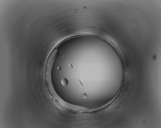X0000094781236200711241332