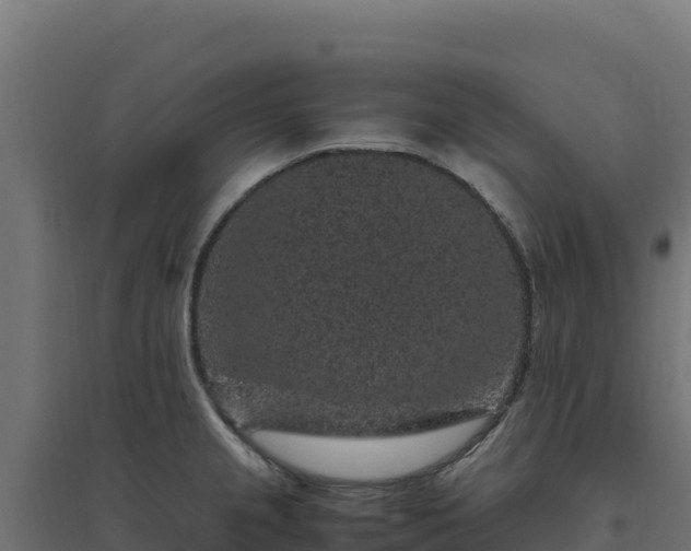 X0000094781237200711241332