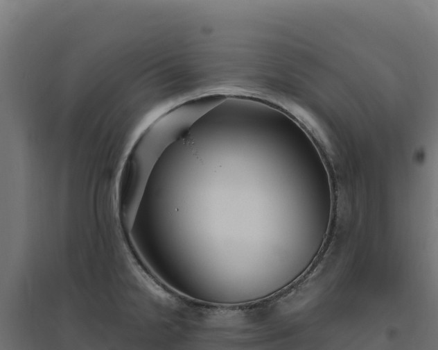 X0000094781238200711241332