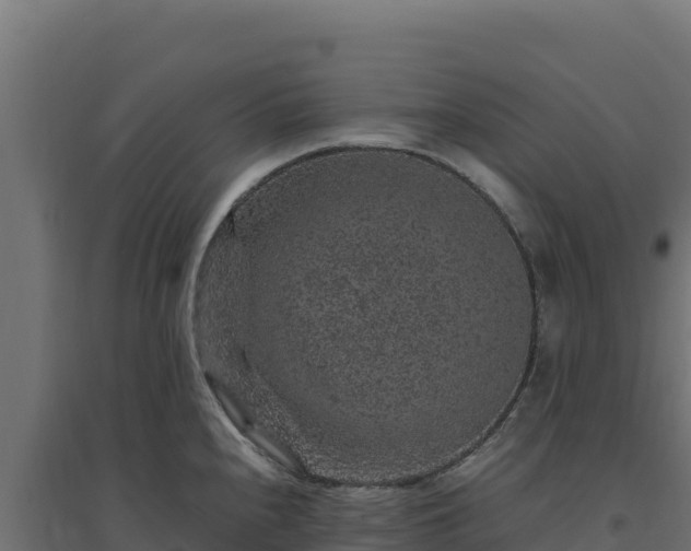 X0000094781240200711241332