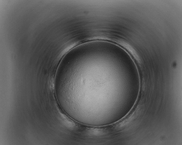 X0000094781241200711241332
