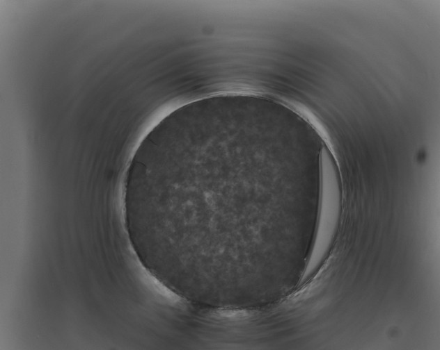 X0000094781243200711241332