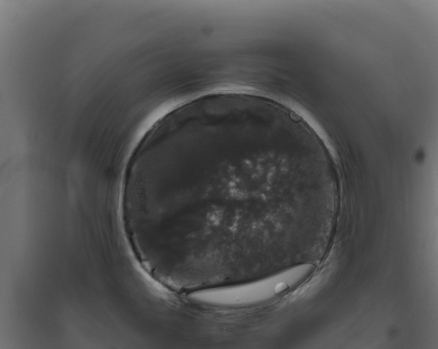 X0000094781245200711241332