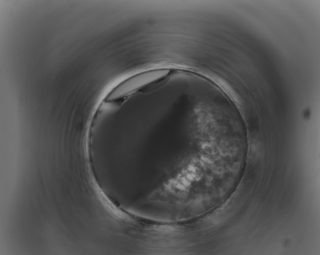 X0000094781246200711241332