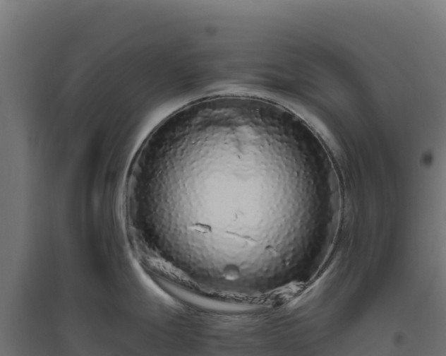 X0000094781247200711241332
