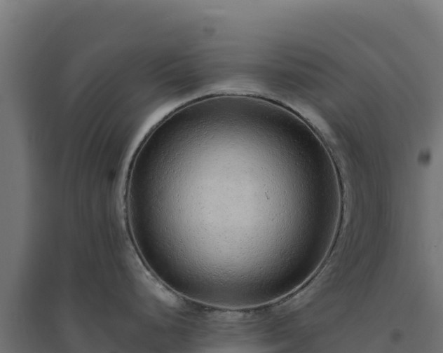 X0000094781248200711241332