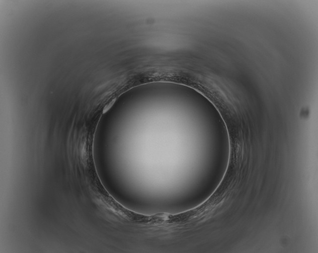 X0000094781250200711241331