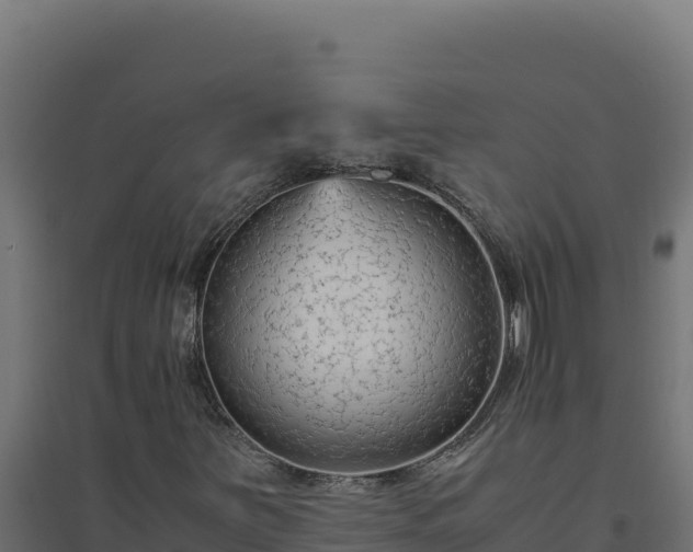 X0000094781251200711241331