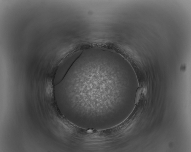 X0000094781252200711241331