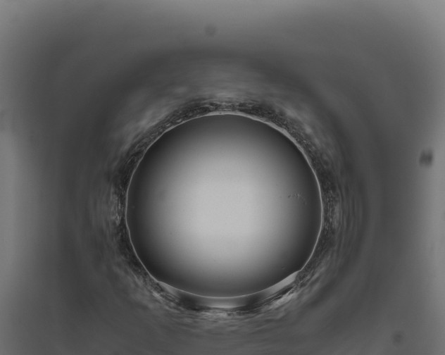 X0000094781253200711241331