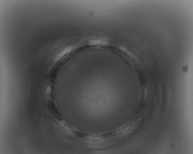 X0000094781254200711241331