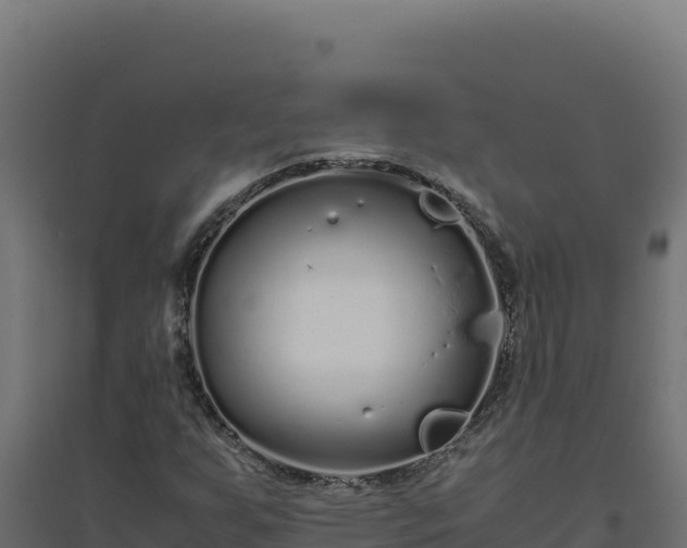 X0000094781255200711241331