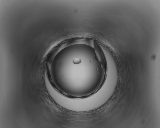 X0000094781256200711241331