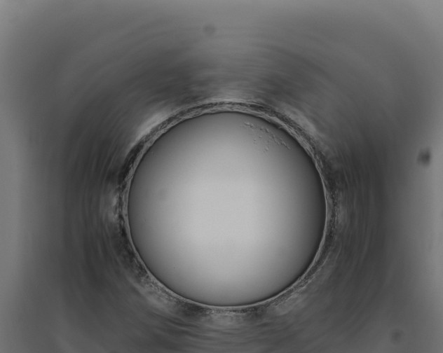 X0000094781258200711241331