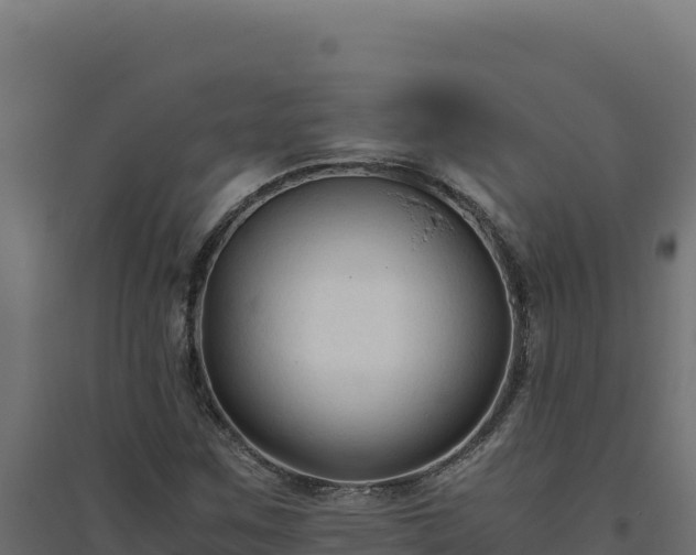 X0000094781259200711241331