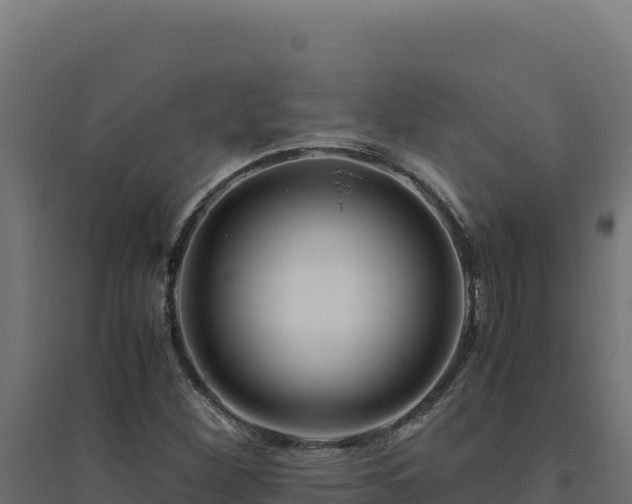 X0000094781260200711241331