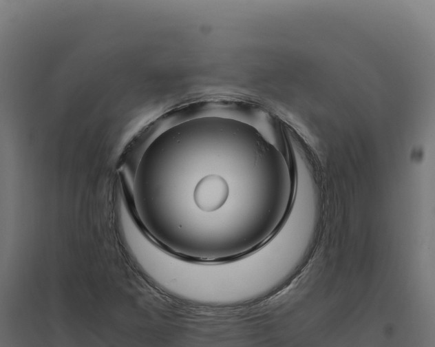 X0000094781261200711241331