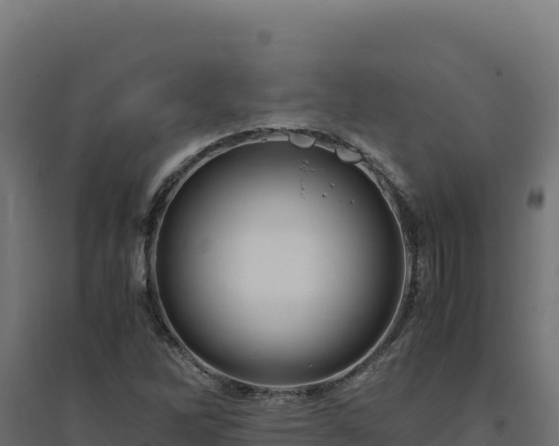 X0000094781262200711241331