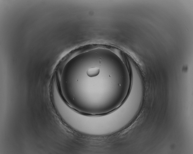 X0000094781264200711241331