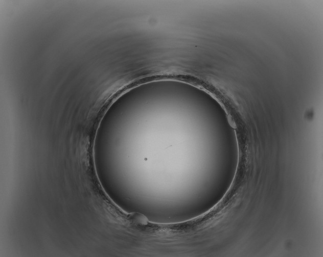 X0000094781265200711241331