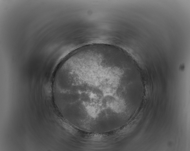 X0000094781266200711241331