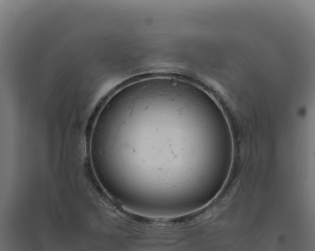 X0000094781267200711241331