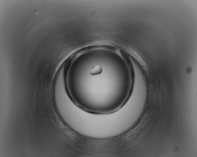 X0000094781268200711241331